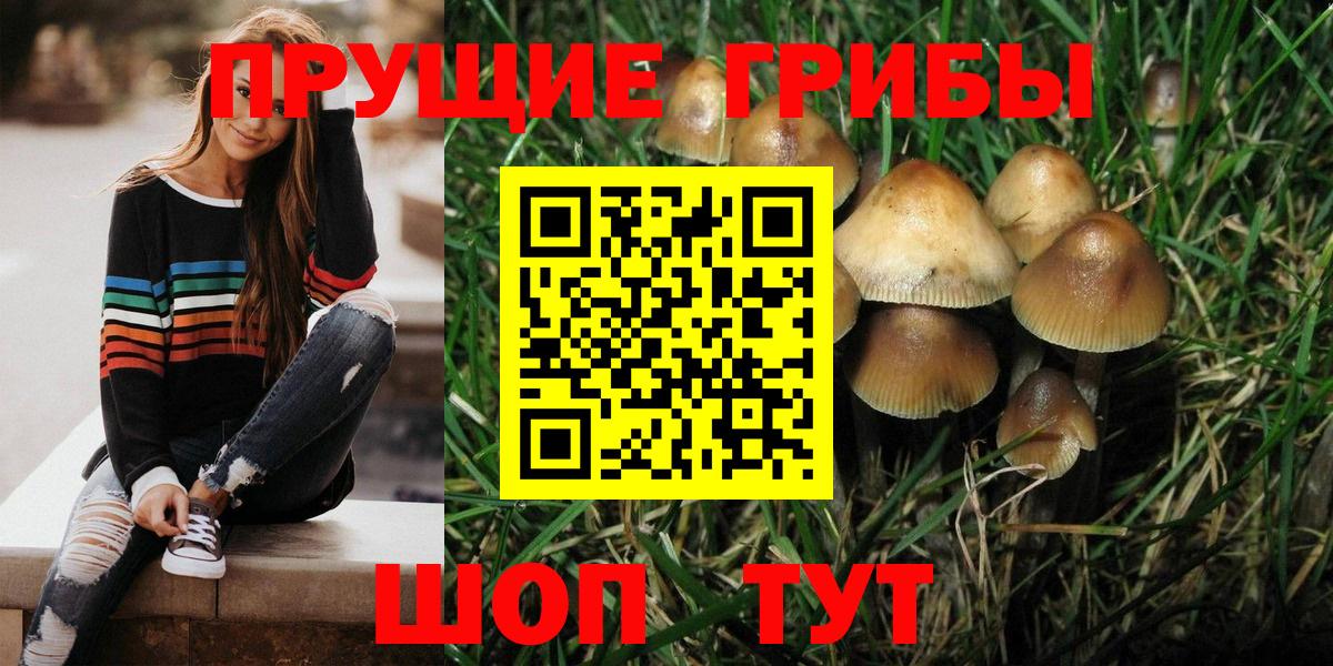 Галлюциногенные грибы MAGIC MUSHROOMS Малгобек